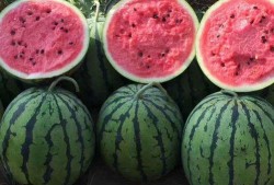 网红吃瓜文案怎么写好,揭秘娱乐圈幕后风云