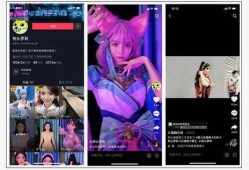 网红爆料最新视频,揭秘幕后真相，带你走进事件核心