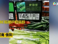 河南超市爆料视频最新版,揭秘超市内幕，消费者权益再受关注
