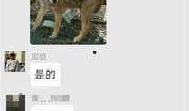 6.27爆料新闻,揭秘重大新闻背后的真相与影响