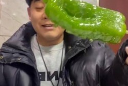 临沂吃瓜网红事件视频曝光,揭秘网络舆论风波背后的真相