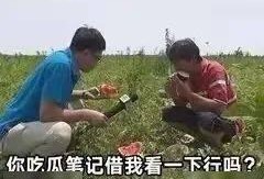 晋江娱乐圈吃瓜文,揭秘幕后真相，吃瓜群众狂欢时刻