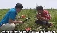 晋江娱乐圈吃瓜文,揭秘幕后真相，吃瓜群众狂欢时刻