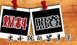 重庆新闻热线爆料,揭秘神秘事件背后真相
