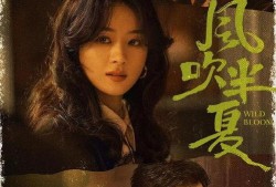 《风》在线观看,穿越时空的旋律之旅