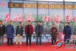 浠水二小爆料新闻报道最新