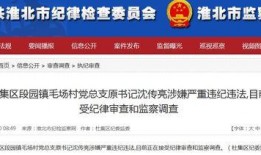 爆料新闻微信,揭秘微信最新动态，带你领略社交新篇章